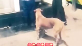 Zange OAh jo dosro Ka Kam aye