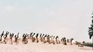 Allah humma Labbaik