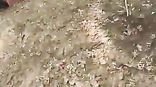 سود خور کا انجام نہ دنیا میں نہ آخرت میں آرام