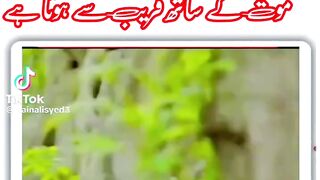 Zindagi ek keraye ka gar hi ek na ek din badalna