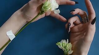 would you like me to generate some lyrics for a song