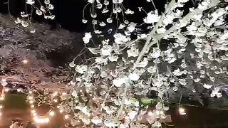 Nice view of Korea