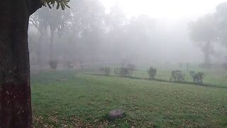 Cool weather