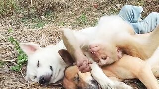 Funny video. 9