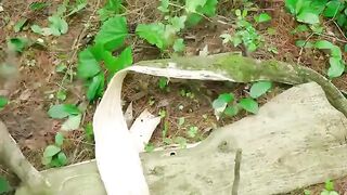 Ancient paper-making technique