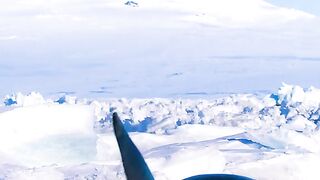 Penguins are always watched by whales