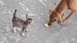 Funny