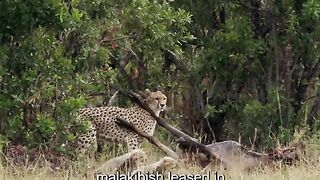 Inviting his child to eat