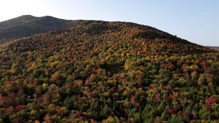 Scenic Autumn Mountain | #Autumn #Beautiful  #Dareful