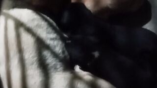 Baby dog