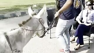 Funny ????????????