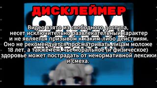 funny videos
