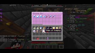 I Got Smol Rank On This Life Steal Server |VIPMC| POJAVLAUNCHER Part#3 #vipmc #vipmc #vipmclifes