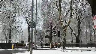 Weather