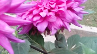 How are the flowers feeling guys?