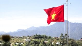 There are more than 10,000 species of Animals in Vietnam