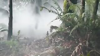 Jurassic world