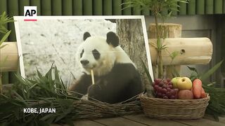 Visitors pay tribute to Tan Tan, Japan's oldest panda that died age 28 at zoo in Kobe.
