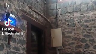 مسجد در مدینہ منورہ  history studies