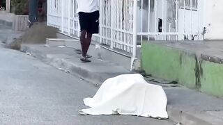 It's just a little dog