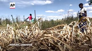 Millions face hunger in southern Africa due to drought.