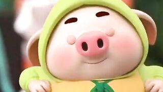 Funny videos