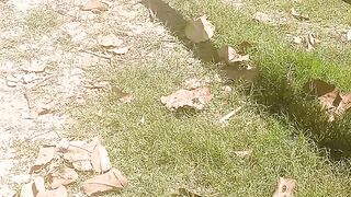 Iregation way in farming