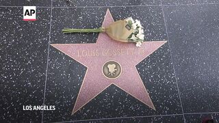 Flowers placed at Louis Gossett Jr.'s Walk of Fame Star after actor's death.