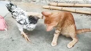 জমে উঠেছে বাহ....!!!