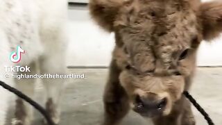 Cute kids