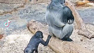 #funny