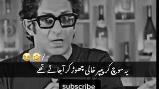 funny videos