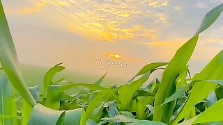 Gaon ka khoobsorat manzar.
