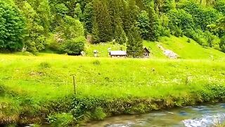 Switzerland is renowned for its stunning natural beauty