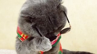 Fany video