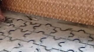 In my home kitchen