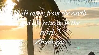 Life Quotes to Bring Inspiration and Positivity to Your Day .