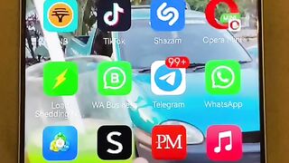 Forex trader bro