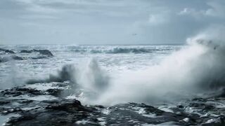 15 MOST DANGEROUS Ocean Creatures In The World