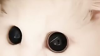 Cat Subscribe Our Channel