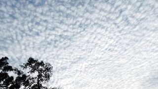 Cloud what a look