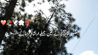 Best line