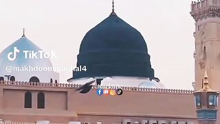 Akhi Sony nu hawai ni je tera guzar howe