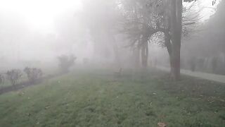 Heavy fog