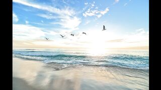1 Minute of Relaxing Ocean waves for Deep sleep & White Noise