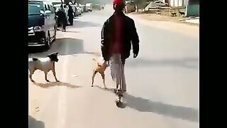Haa ???? Haa ???? Funny video Kamal video