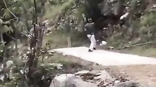 Funny cricket
