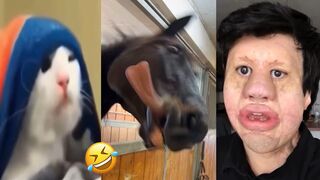 THE FUNNIEST MEMES Of April 2024 | Try Not To LAUGH ???? | #1