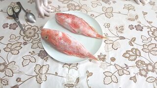 تنظيف سمك البوكشاش بطريقة سهلة SCORPION FISH - هذه السمكة تمتلك أشواك تسبب آلم لا يحتمل