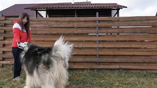 Learn all  about  puppy  training.